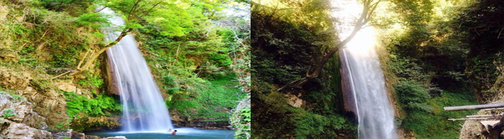 About Images